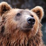 Koopjes update: Heb jij je eigen biologische groente en kruidentuintje?