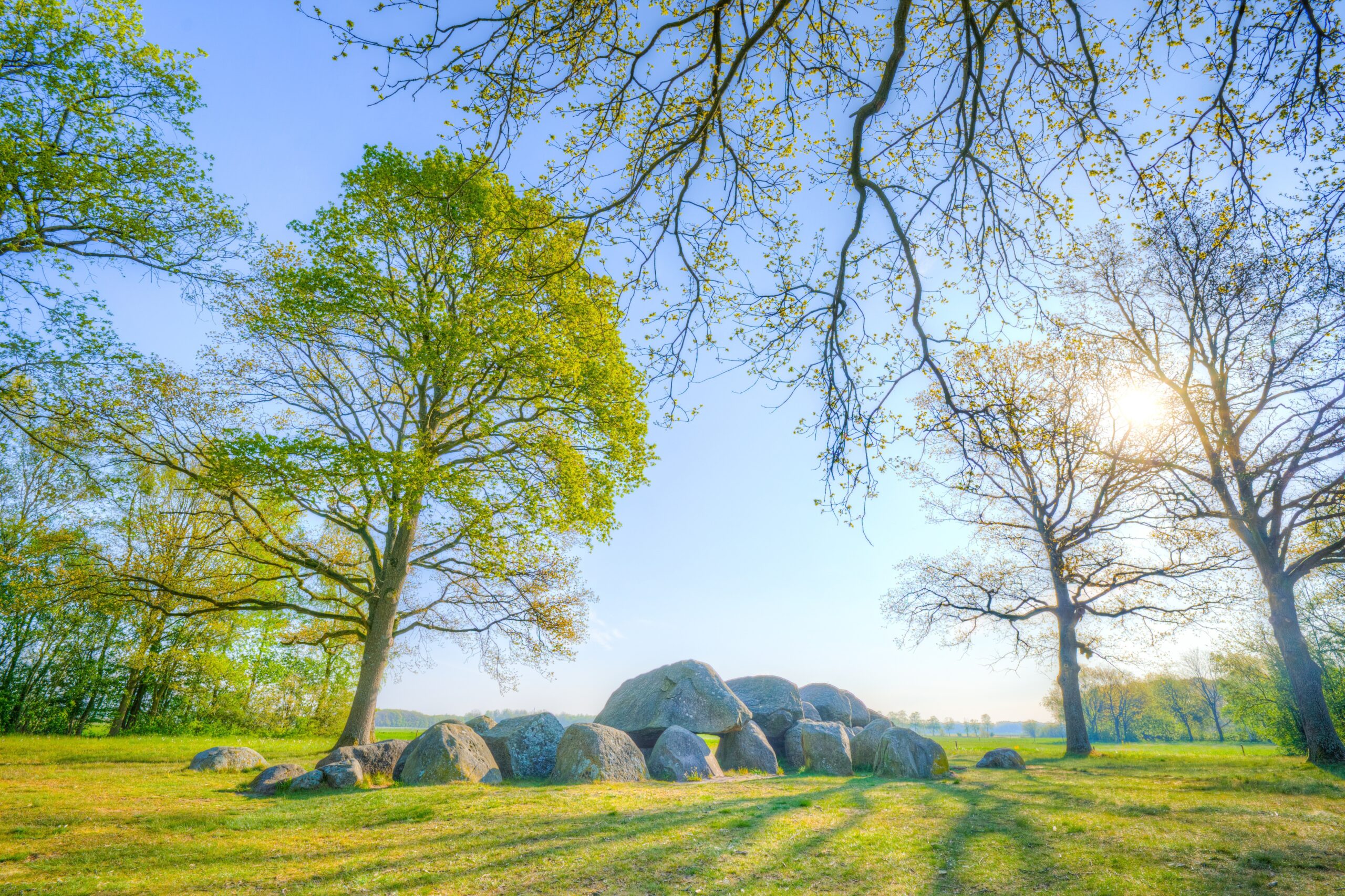 Goede Doelen update: Over de mooie “Stichting Natuurmonumenten”…