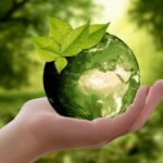 Goede Doelen update: Over de interessante “Greenpeace” organisatie…